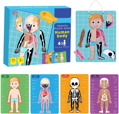 48 sztuk Edukacyjne magnetyczne puzzle z ludzkim ciałem Zabawki dla 3-letniego malucha